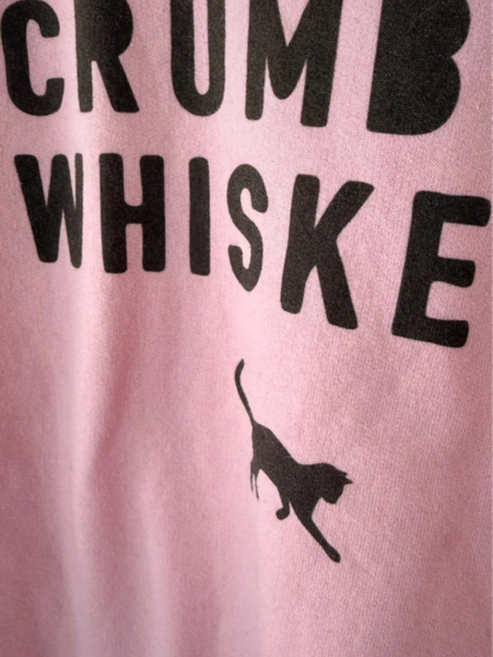 Crumbs & Whiskers Pink Graphic Sweatshirt – Unisex – Size M - Picture 5 of 6